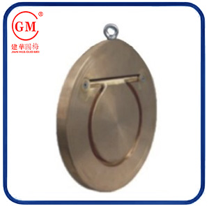 wafer type check valve