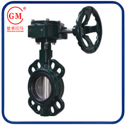 Marine clip-on concentric butterfly valve
